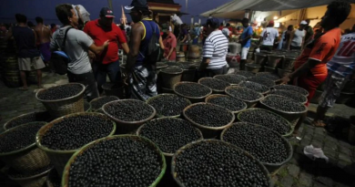 84917278102-1_00837291_0_-3