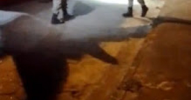 TENTATIVA DE HOMICÍDIO