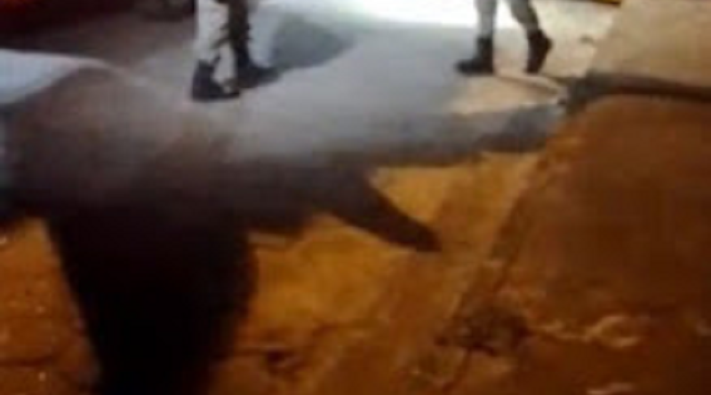 TENTATIVA DE HOMICÍDIO