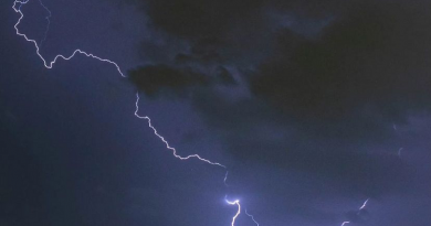 WhatsApp Image 2023-11-22 at 15.04.51