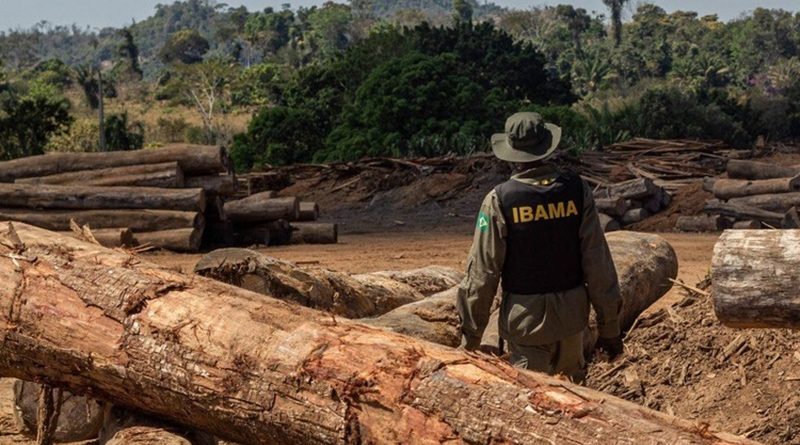 amazonas ibama