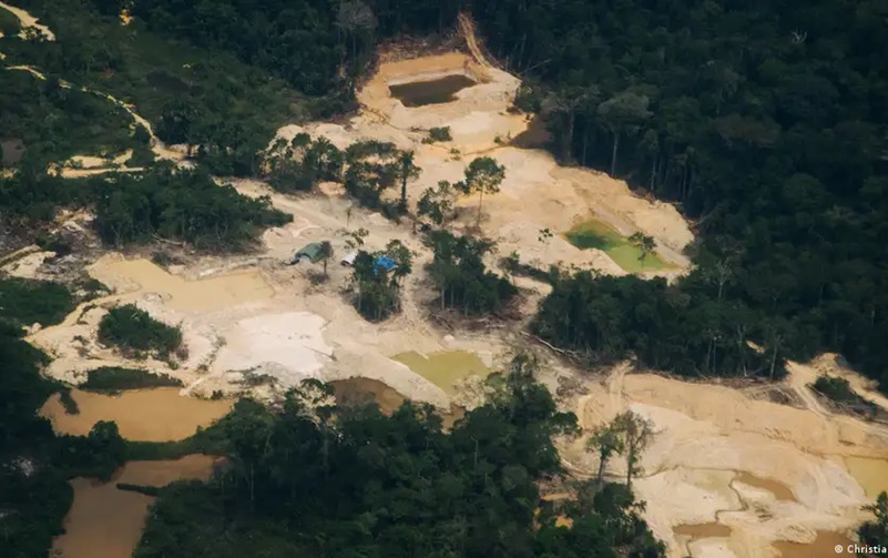 Em 2022, a APA do Tapajós perdeu 11,2 mil hectares de floresta Foto: Christian Braga/Climainfo/Divulgação