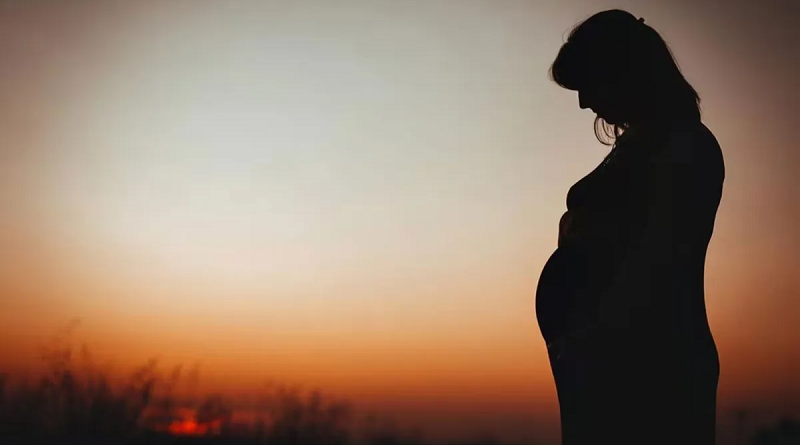 gravida2_00837131_0_-3