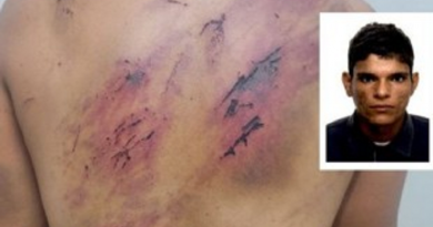 0dc4e95cd71ac906a223698432a3ba67-360.9022556391x240