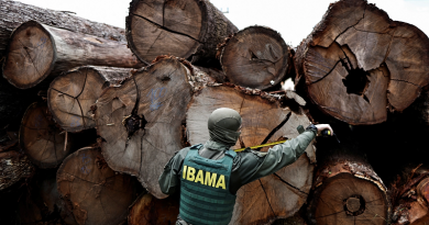 amazonia-desmatamento-ibama-multas-meio-ambiente-1iyqjt0cgms0x