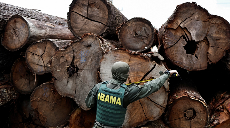 amazonia-desmatamento-ibama-multas-meio-ambiente-1iyqjt0cgms0x