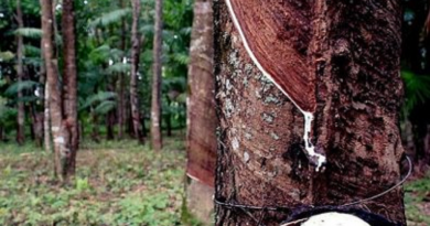 e50551f5fd682e4c63718aad4ec987b6