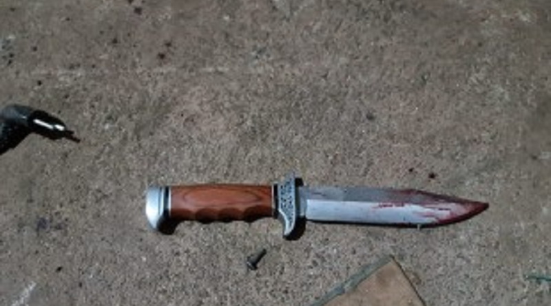 fb5cc8f1d6ce22b83f6b1fa12c6d9241-320x240