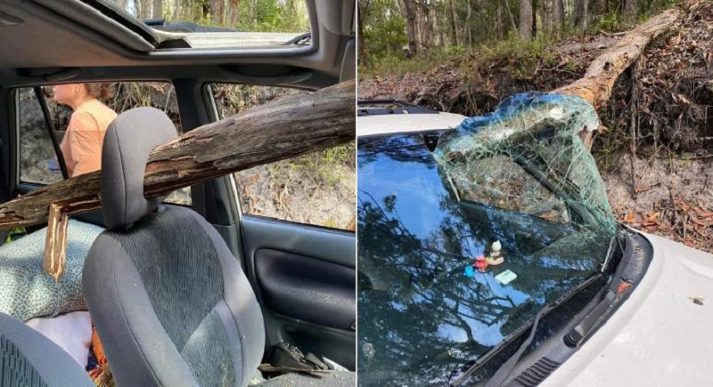 jovens-arvore-para-brisa-carro-29112023190721035