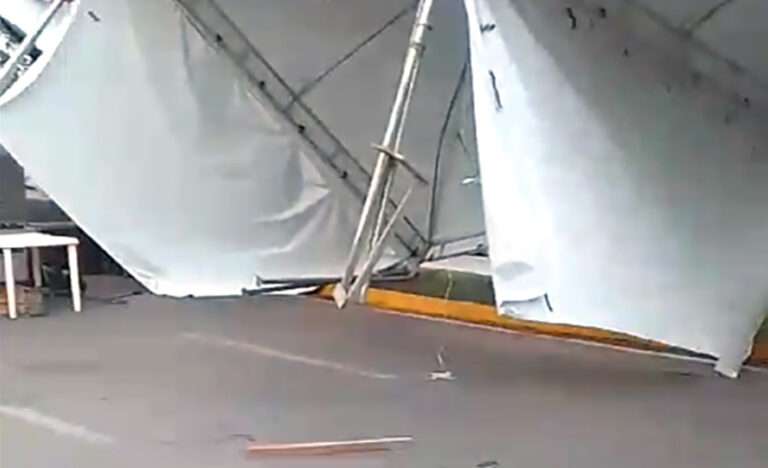 (foto: reprodução)