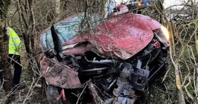 2b33b9f18d8f1371c8ec8fc3d456e818