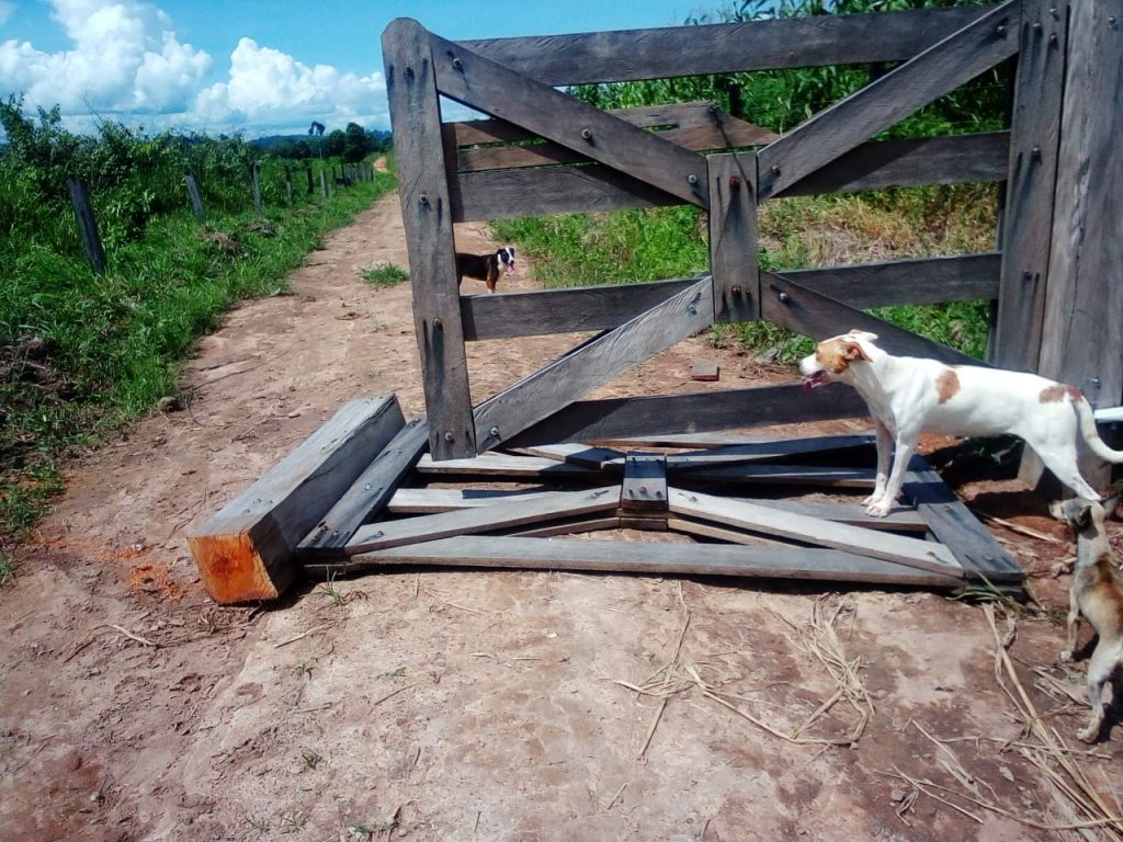 Imagem do WhatsApp de 2024-01-17 à(s) 20.50.51_1a549c7b