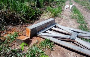 Imagem do WhatsApp de 2024-01-17 à(s) 20.50.51_6f580509