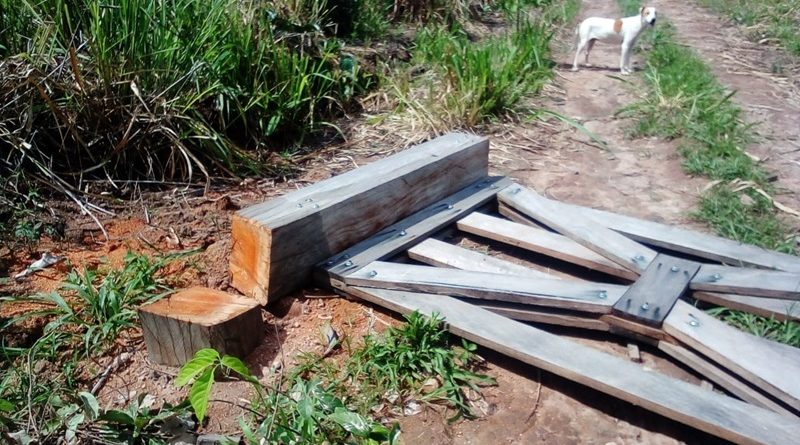 Imagem do WhatsApp de 2024-01-17 à(s) 20.50.51_6f580509