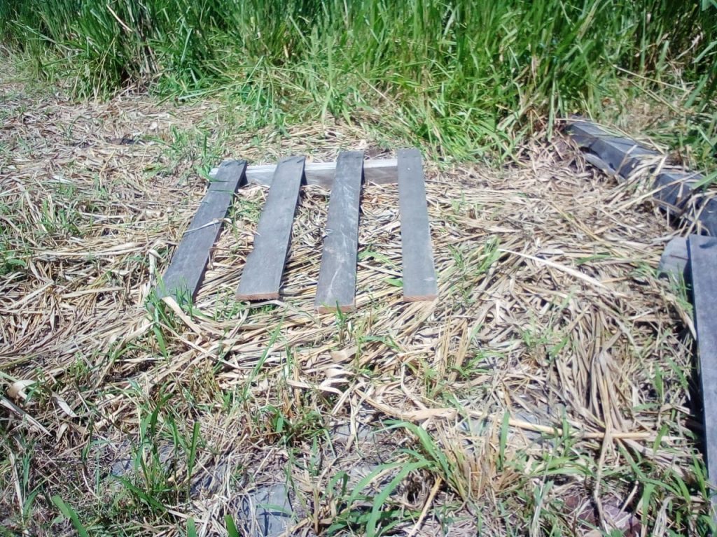 Imagem do WhatsApp de 2024-01-17 à(s) 20.50.55_040c9f8b