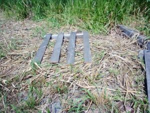 Imagem do WhatsApp de 2024-01-17 à(s) 20.50.55_040c9f8b