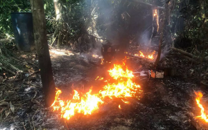 Foto: Divulgação PF