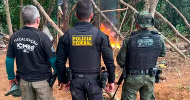 📷 Ação contou com agentes do ICMBio, Polícia Federal e Polícia Militar |Divulgação/PF