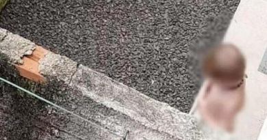 menino-de-2-anos-560x375