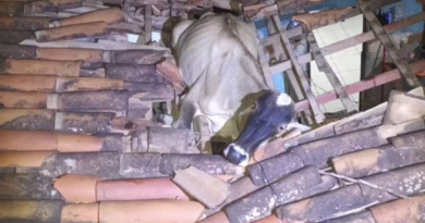 Captura de tela_9-2-2024_231135_g1.globo.com.jpeg