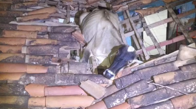 Captura de tela_9-2-2024_231135_g1.globo.com.jpeg