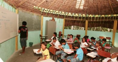 ESCOLA INDIGENA