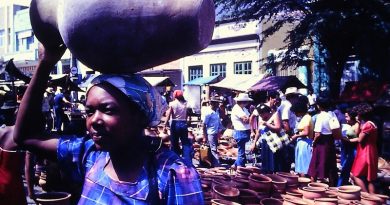 Instituto Cultural Vale