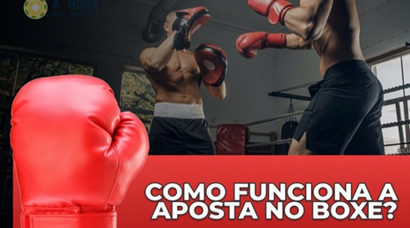aposta boxe