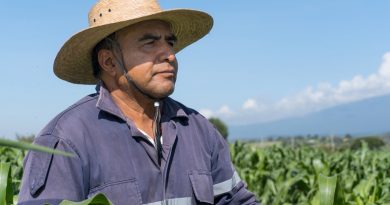 Man with hat in a field of corn