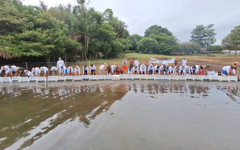 Moradores de comunidade no Oeste do Pará celebram sucesso do Projeto Pé-de-Pincha (1)