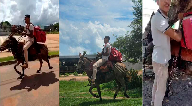 48b1bb2fc62f89d8097d1d316c15c5dd