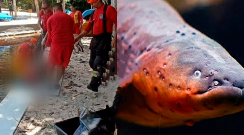 Post Instagram Corporativo empresarial notícia azul