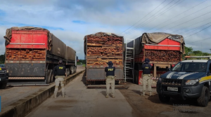 Foto: Reprodução/PRF