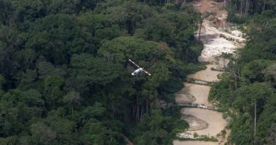 garimpo flona jamanxim