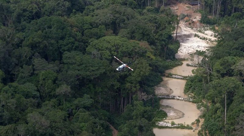 garimpo flona jamanxim