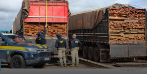 Foto: Reprodução/PRF