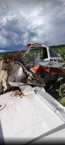 Piloto foi encontrado morto — Foto: Corpo de Bombeiros