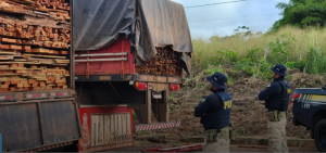 Foto: Reprodução/PRF