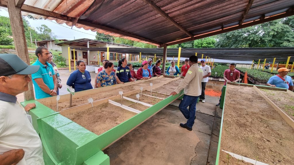 2024_04_17_Foto_MRN apresenta suas operações para coletores de sementes da região Oeste do Pará (4)