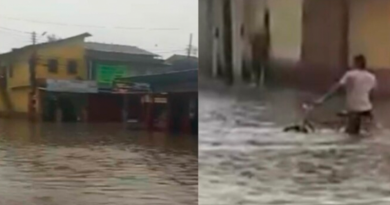 Untitled-design-2024-03-31T151213.773