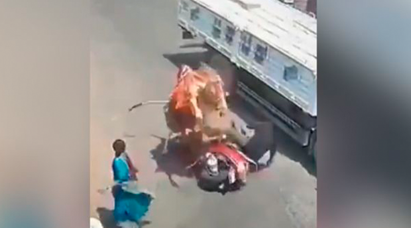 WhatsApp Image 2024-04-05 at 16.18.17.jpeg