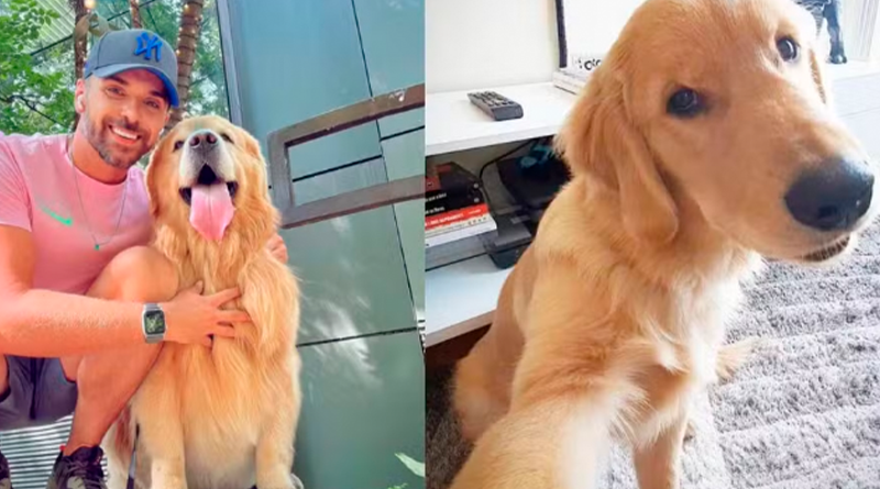 João Fantazzini e Joca, cão que morreu em transporte aéreo da Gol — Foto: Arquivo pessoal