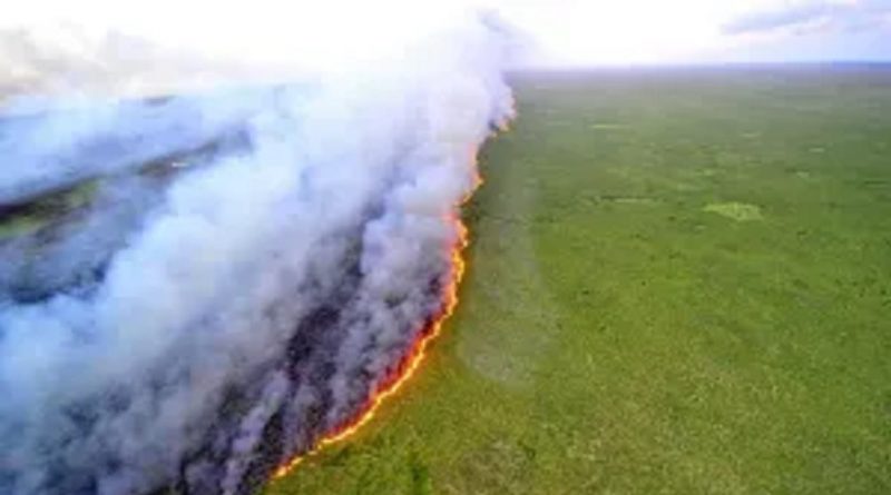 fogo queimadas