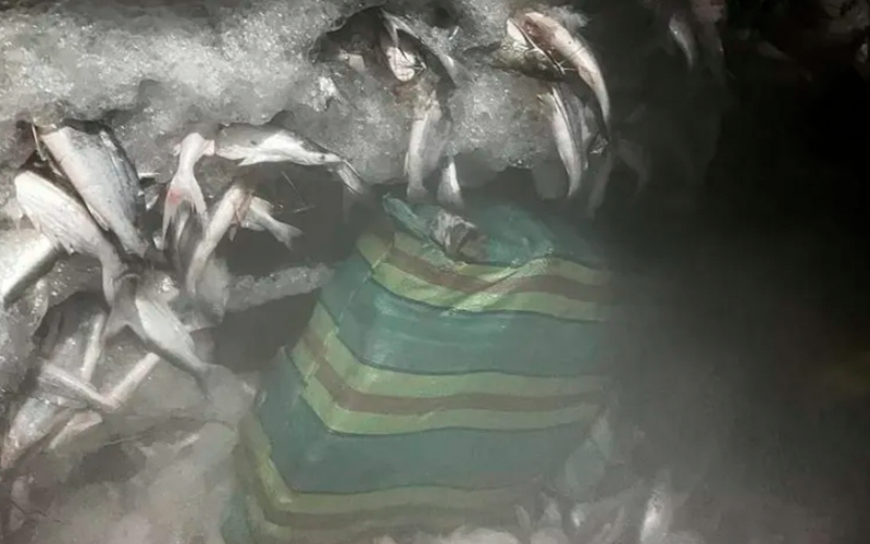 Foto: Divulgação/PCPA