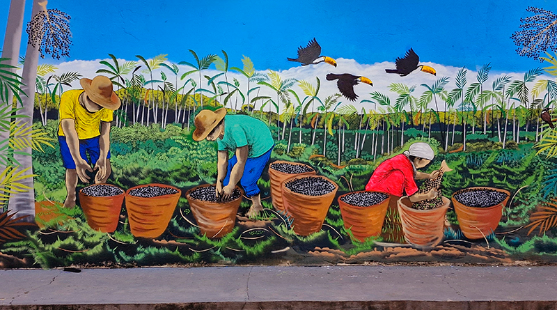 Arte em Cores 4ª edição - Artista Jonas Barros 2.jpeg