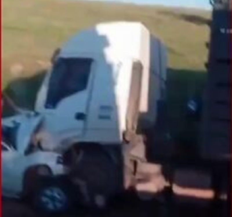 Pai e filho morrem em acidente entre caminhonete e caminhão de bois em rodovia de MT (Foto:Reprodução)