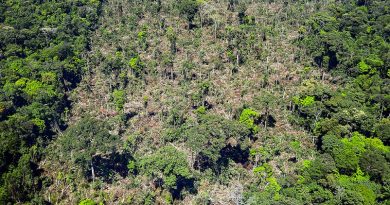 Painel de Sustentabilidade Integrada com indicadores sociais da cidade Brasil Novo, no Pará.