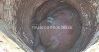 OCPhoto.737728235.230422