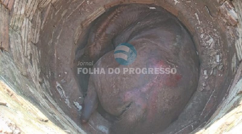 OCPhoto.737728235.230422