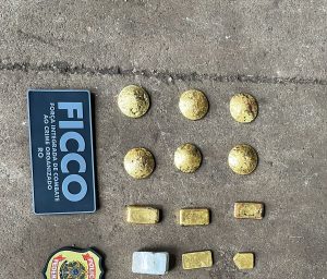 (Foto: Divulgação/ PC-AM)